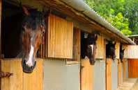 free Glanwydden stable construction quotes